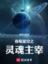 吞噬星空之灵魂主宰